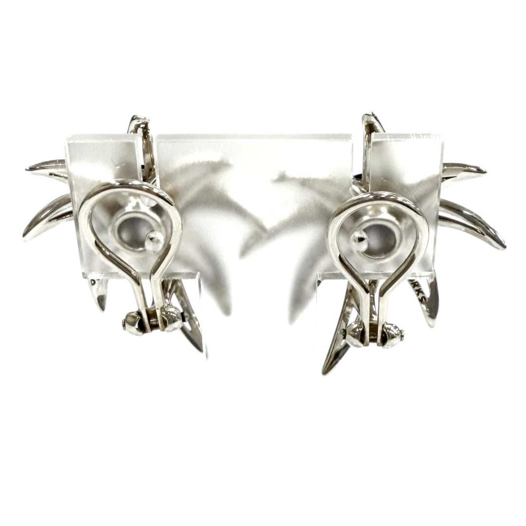 Great TIFFANY&Co. Earring Fireworks Silver AG925 Women