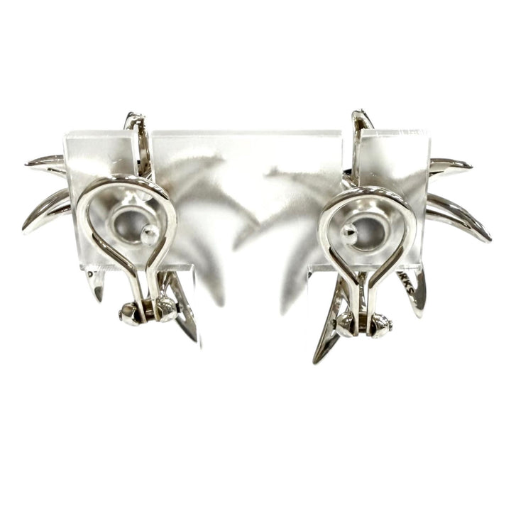 Great TIFFANY&Co. Earring Fireworks Silver AG925 Women