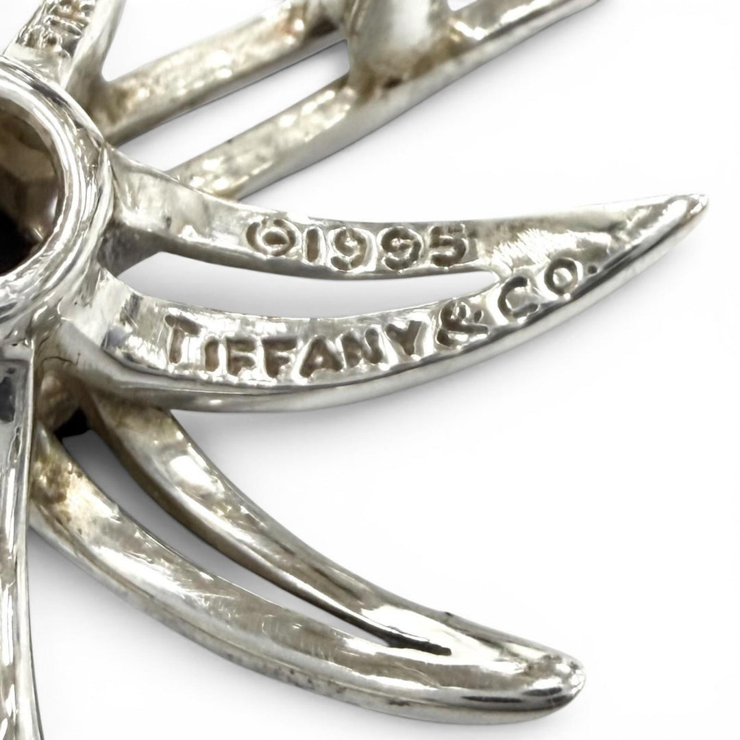 Great TIFFANY&Co. Earring Fireworks Silver AG925 Women