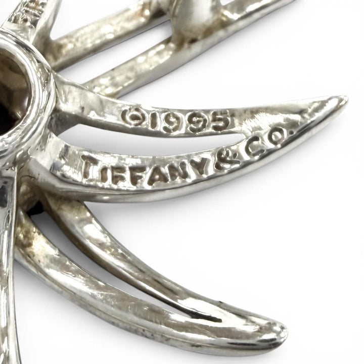 Great TIFFANY&Co. Earring Fireworks Silver AG925 Women