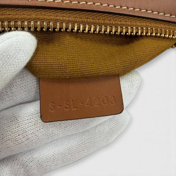 Great CELINE Handbag Medium Eloise Shoulder Bag Brown Triomphe canvas Women