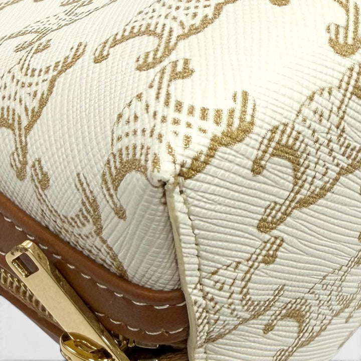 Excellent CELINE Shoulder Bag Logo Chain Clutch Bag off white Triomphe canvas