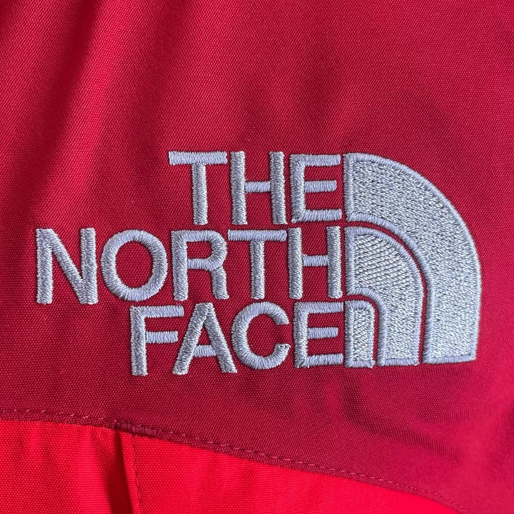 Pristine THE NORTH FACE Mountain Jacket Logo embroidery GORE-TEX L NP15105