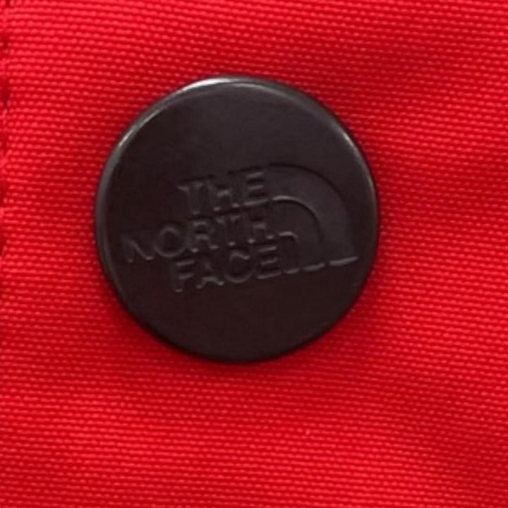 Pristine THE NORTH FACE Mountain Jacket Logo embroidery GORE-TEX L NP15105