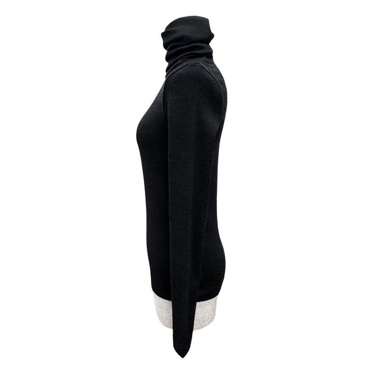Excellent tricot COMME des GARCONS Turtleneck ribbed knit AD2008 TB-T032