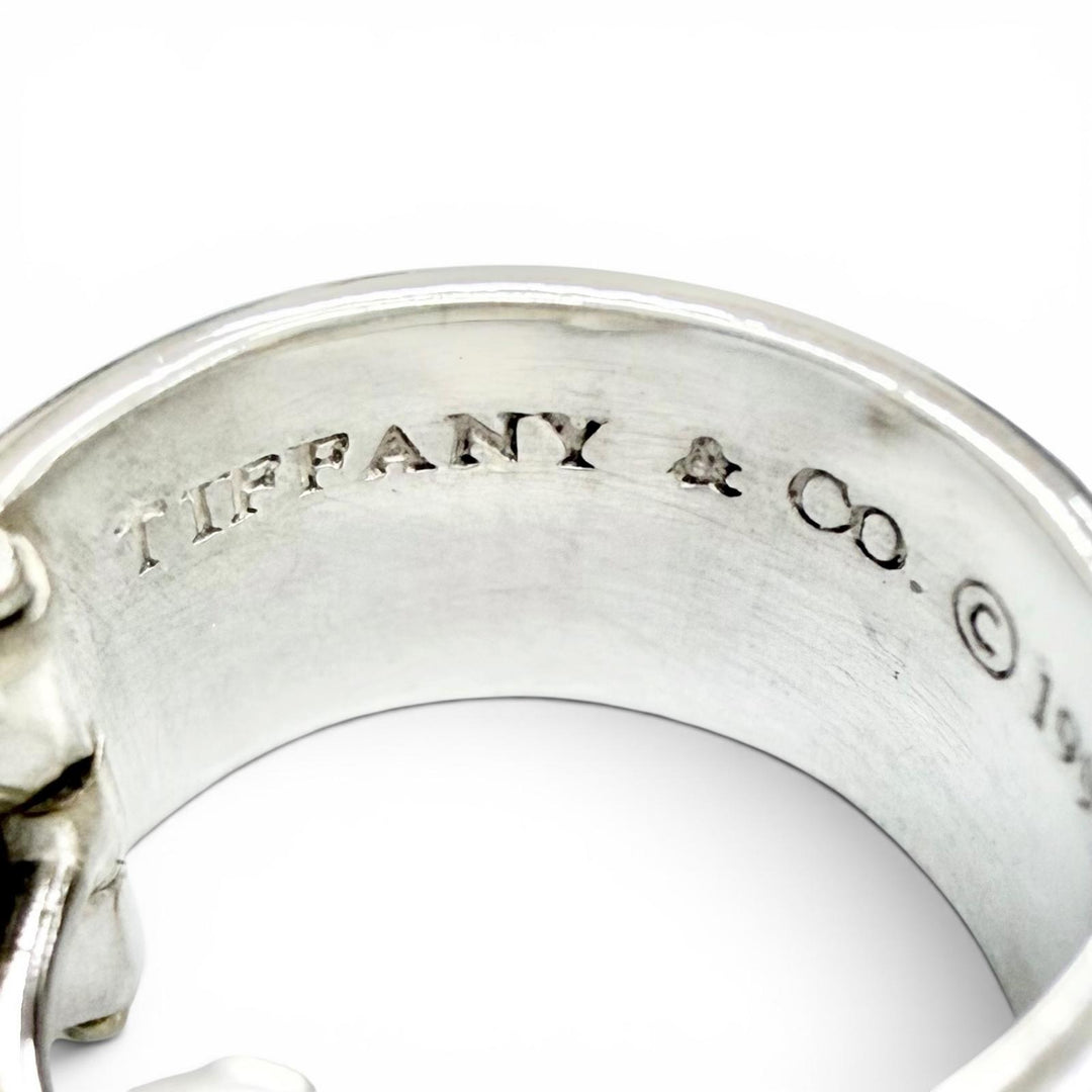 Great TIFFANY&Co. Atlas Ring Pierce Hoop earrings, accessory, Silver 925
