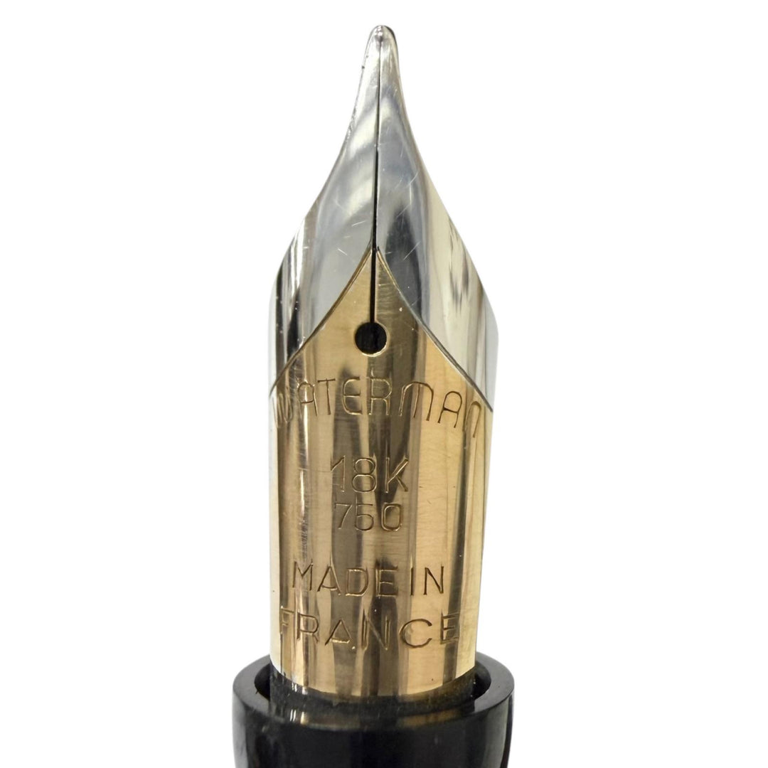 Great WATERMAN fountain pen Le Mans 200 Night & Day Striped Pattern