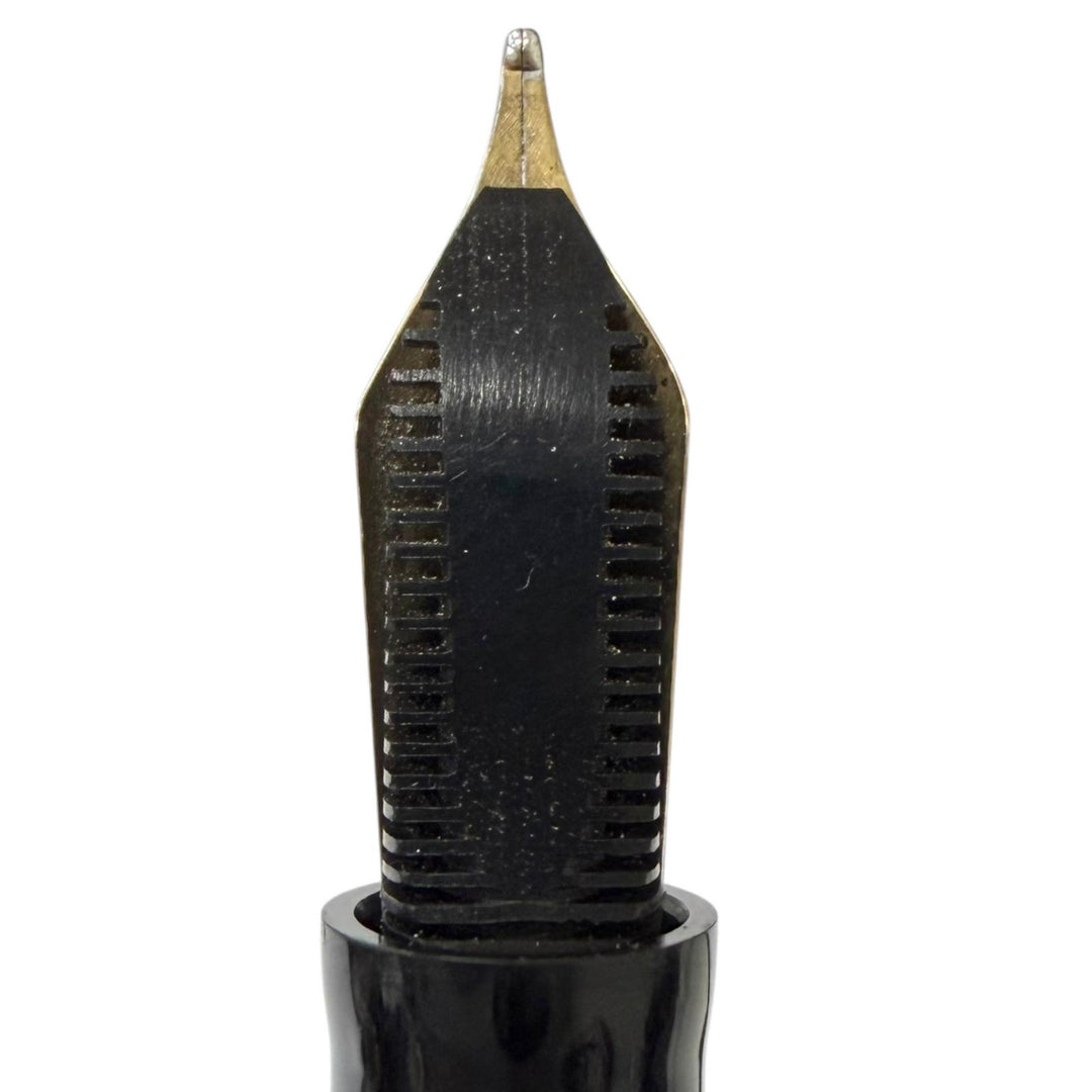 Great WATERMAN fountain pen Le Mans 200 Night & Day Striped Pattern