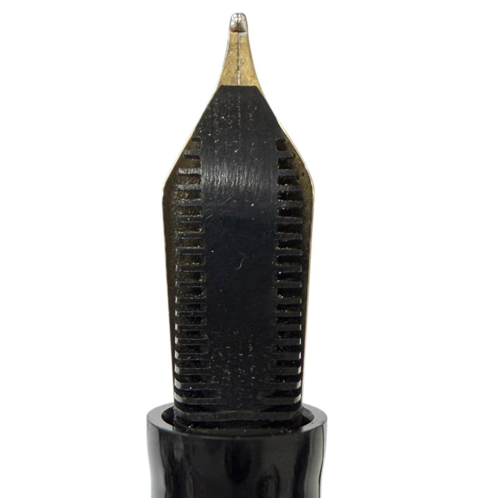 Great WATERMAN fountain pen Le Mans 200 Night & Day Striped Pattern