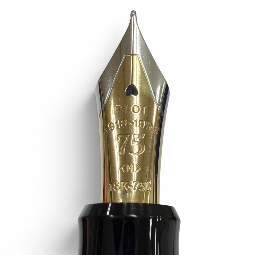 Great PILOT fountain pen 75th anniversary black 18K mens