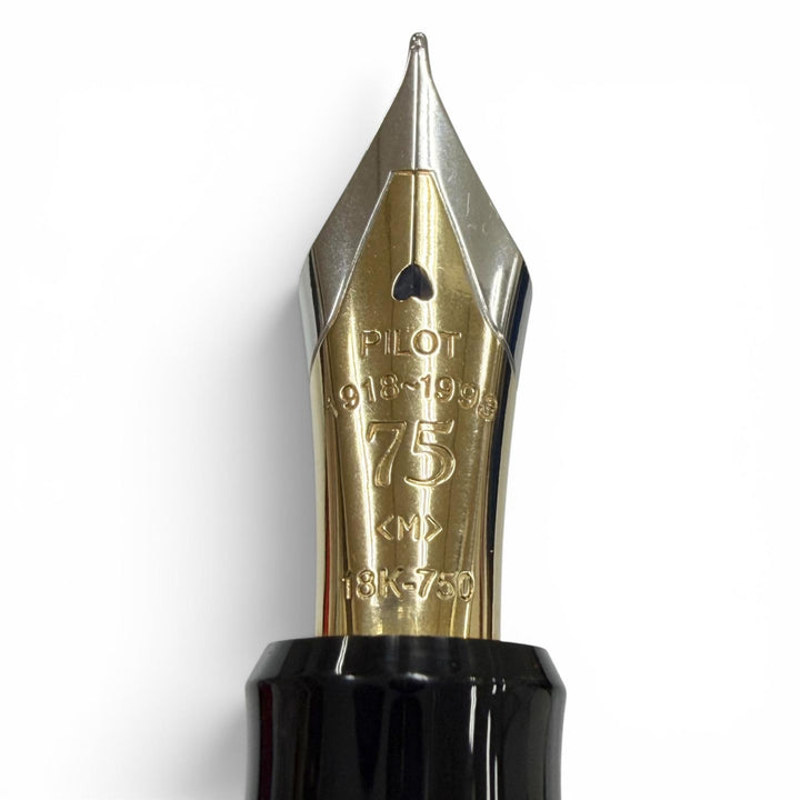 Great PILOT fountain pen 75th anniversary black 18K mens