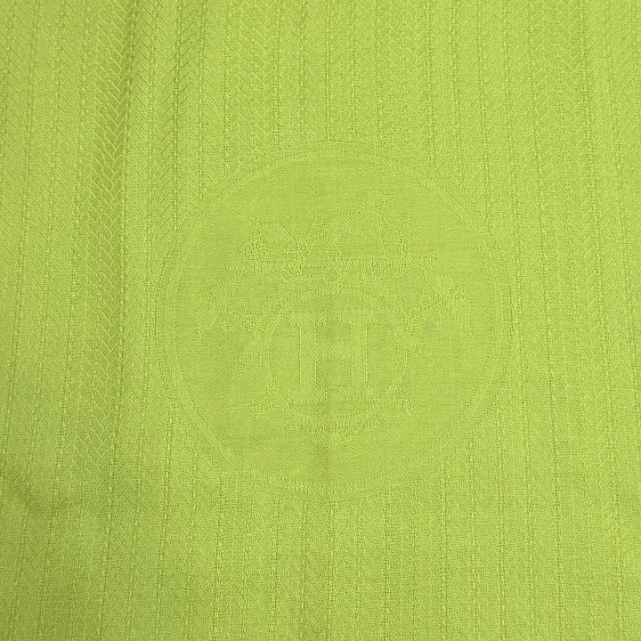 Excellent HERMES shawl Bookplate Large stole with fringe Light green cashmere