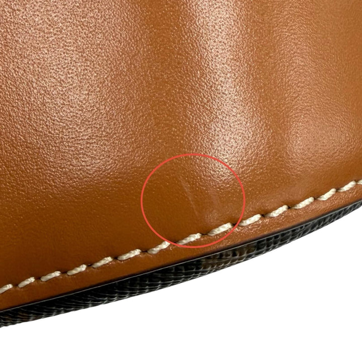Great CELINE Shoulder Bag Triomphe Medium Bucket Leather leather Women 19113