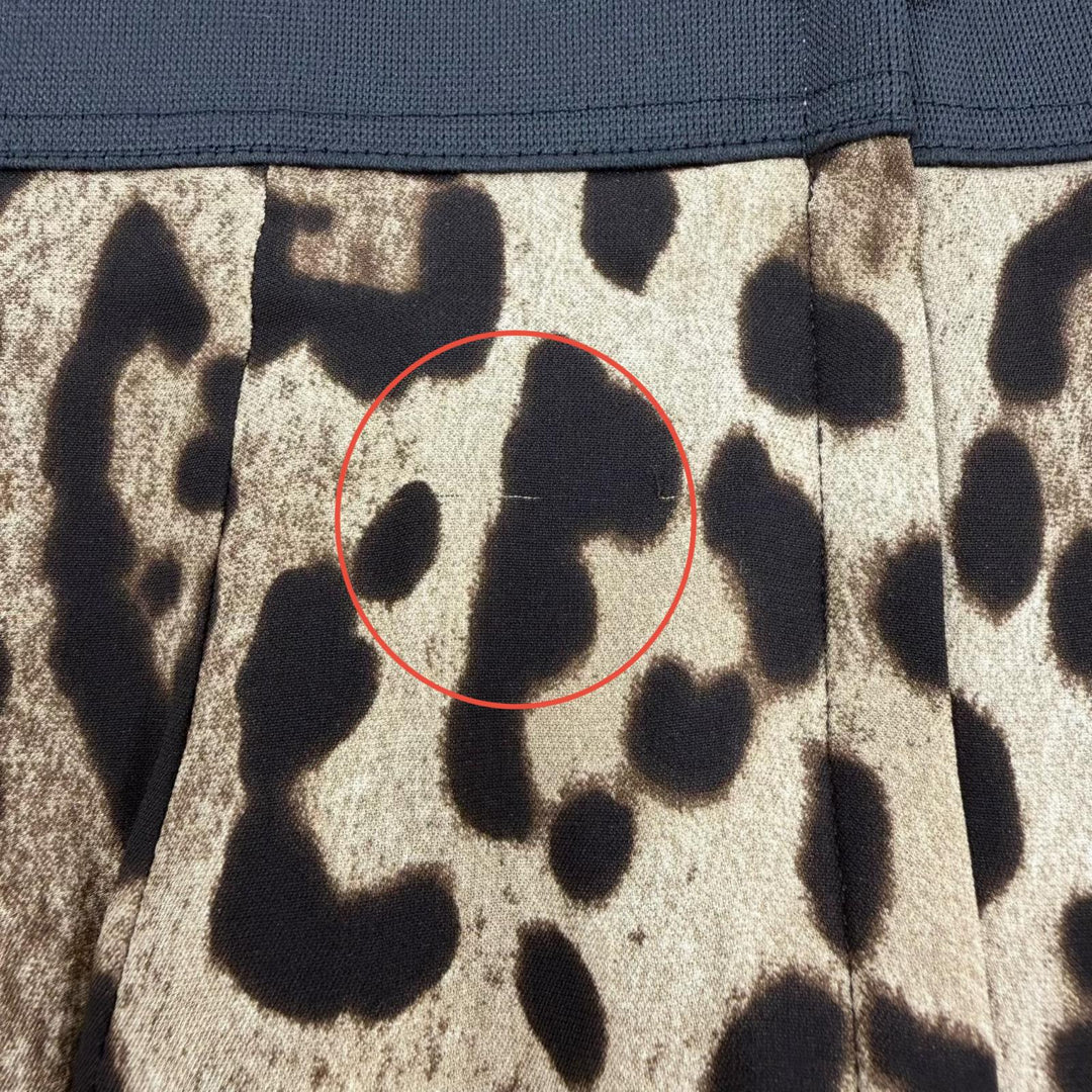 Excellent DOLCE&GABBANA Long skirt Leopard Pattern beige silk Women 38 F4AOBT