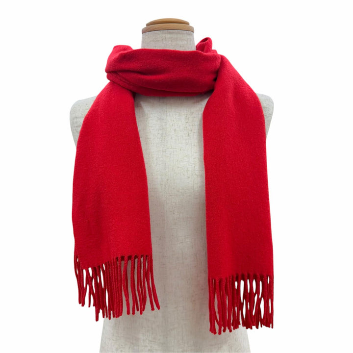 Great HERMES Scarf Embroidered logo with fringe Red cashmere mens