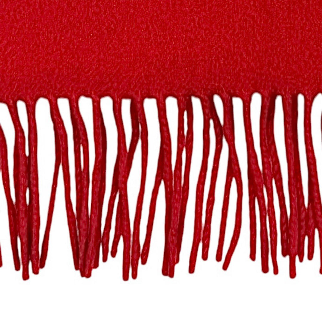 Great HERMES Scarf Embroidered logo with fringe Red cashmere mens