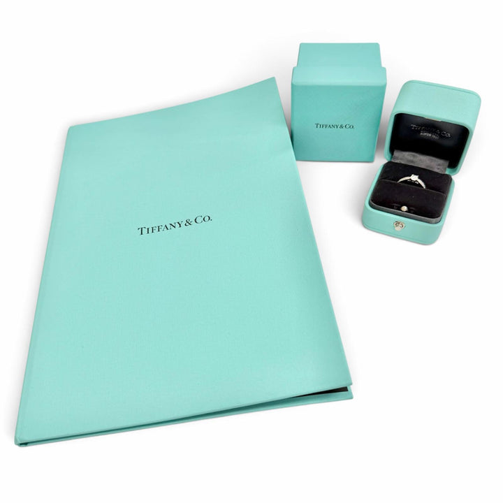 Excellent TIFFANY&Co. Solitaire Channel setting ring, diamond, PT950, D0.28tc/E