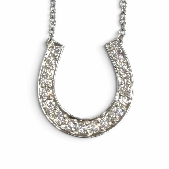Excellent TIFFANY&Co. Necklace Horseshoe Silver PT950 Women