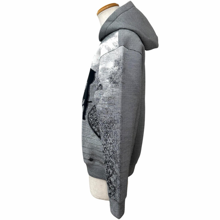 Pristine LOUIS VUITTON hoodie Plain Rainbow, The Wizard of Oz