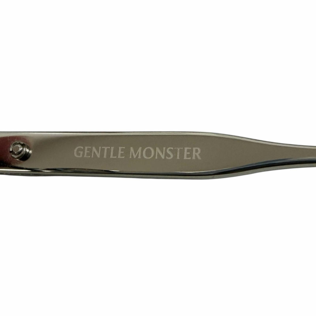 Great GENTLE MONSTER sunglasses ROB Wellington frames,