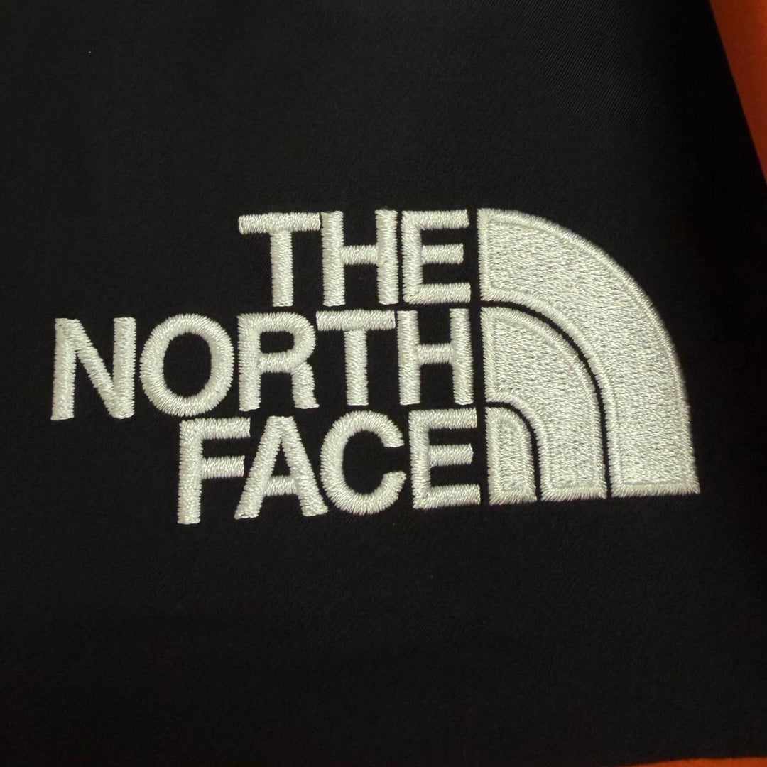Excellent THE NORTH FACE Nylon jacket Mountain Jacket GORE-TEX