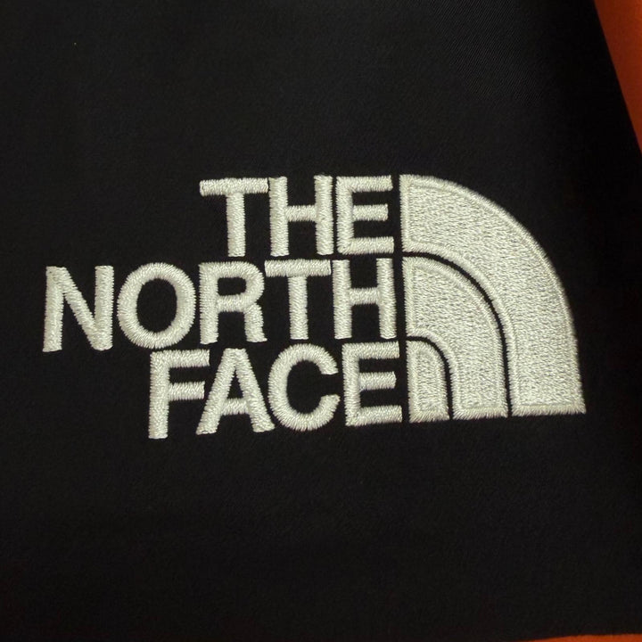 Excellent THE NORTH FACE Nylon jacket Mountain Jacket GORE-TEX