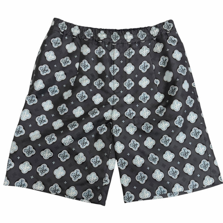 Pristine LOUIS VUITTON Shorts LV logo monogram all-over pattern