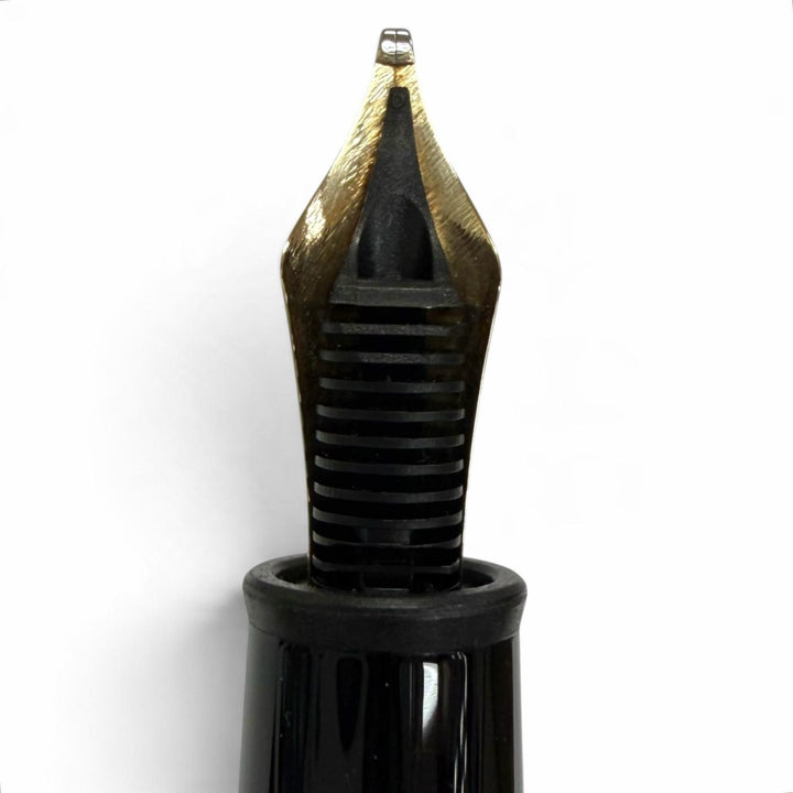 Excellent MONTBLANC fountain pen Meisterstück Classic Chopin Pix145