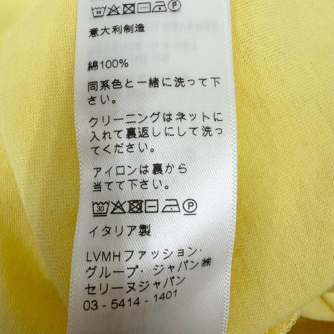 Excellent CELINE Short sleeve T-shirt Logo print Loose fit yellow cotton mens