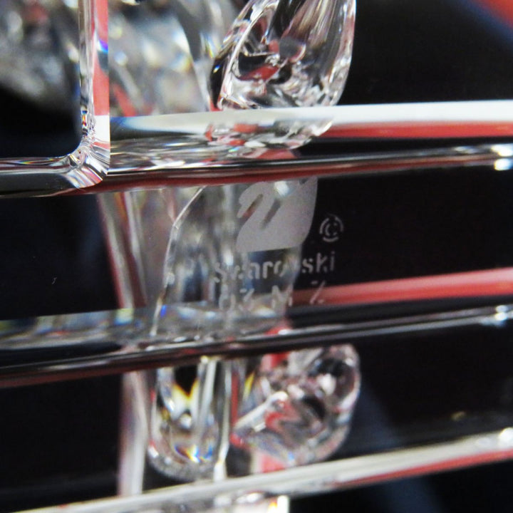 Excellent SWAROVSKI object clear crystal Women